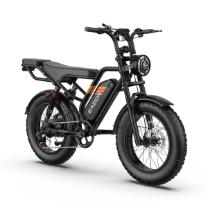 Eazion K9, Moped-style electric bike, fat tires - Image 7