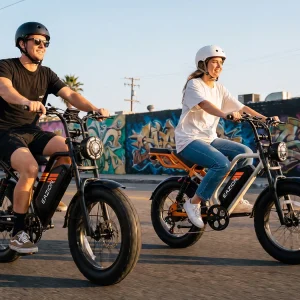 Eazion K9, Moped-style electric bike, fat tires - Image 9